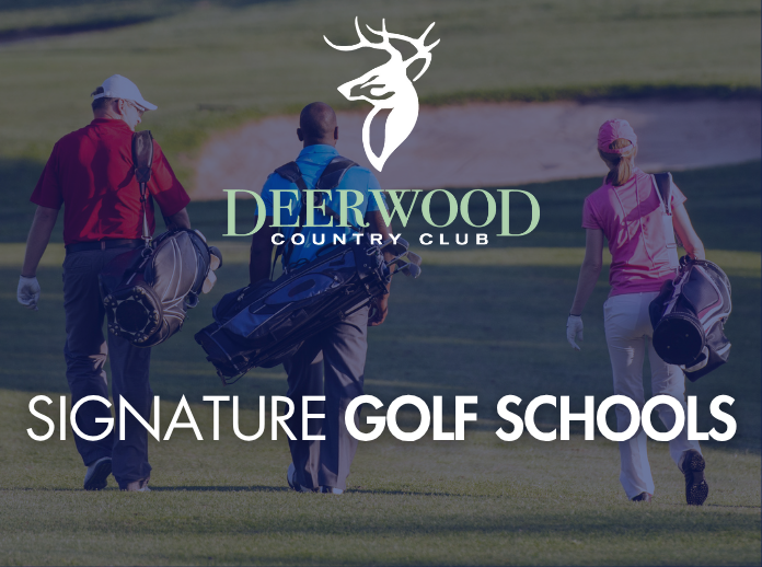Carousel golf schools